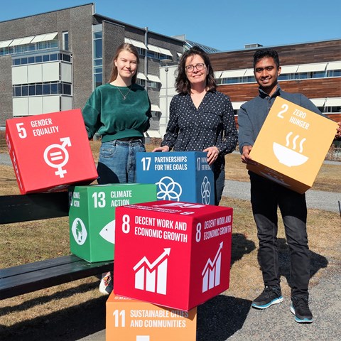 International students  show blocks with the 17 Sustainable Development Goals at Campus Ultuna. Photo.