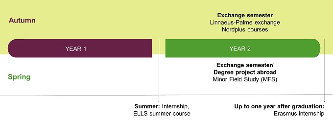 Timeline international opportunities within the master programme Landscape Architecture