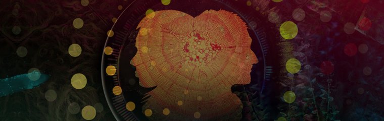 Symbolbild för föreläsningar med seniora miljöanalysspecialister. Illustration.