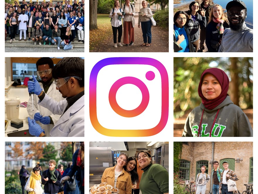 A collage with pictures of students and the Instagram logotype