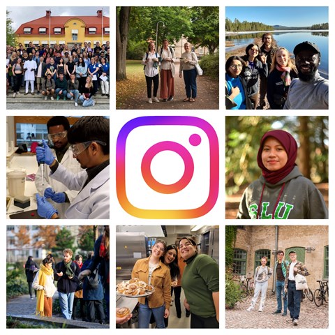 A collage with pictures of students and the Instagram logotype