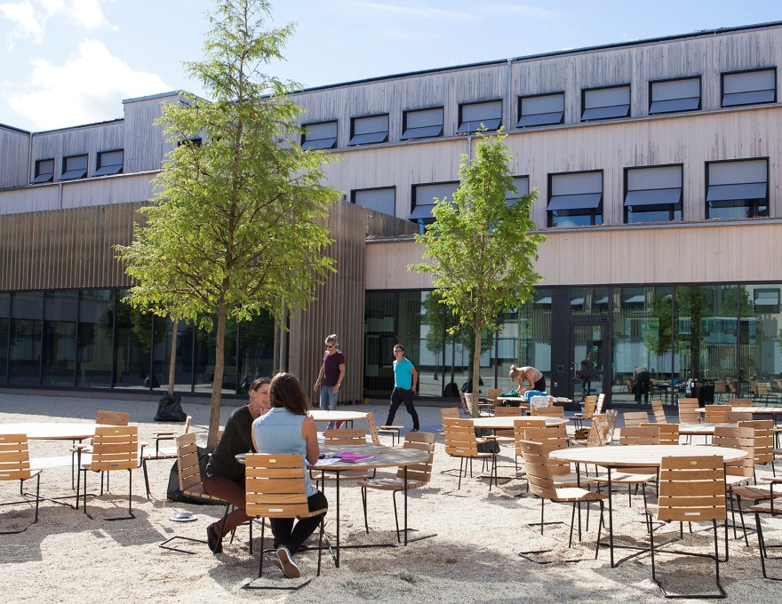 Students sitting outdoors studying, photo.