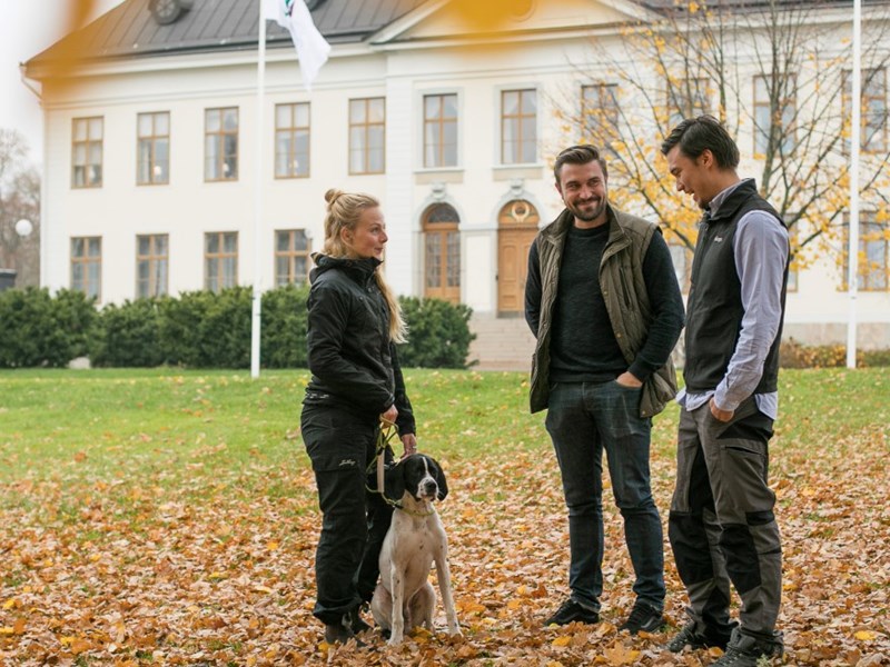 Tre studenter med en hund utanför en byggnad i Skinnskatteberg, foto.
