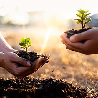 Two pairs of hands are holding tree seedlings to be planted. In the background, houses can be seen.