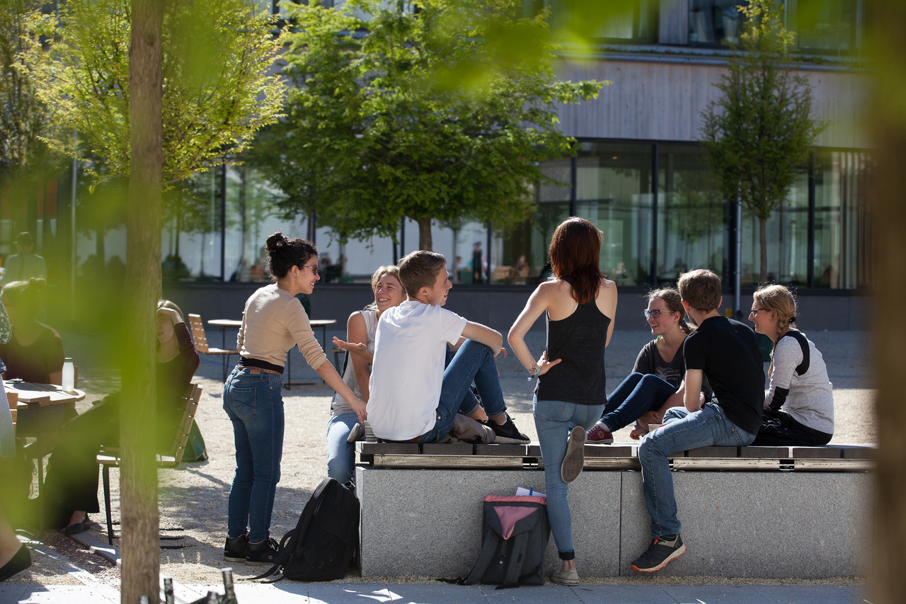Students sit in the sun, photo.