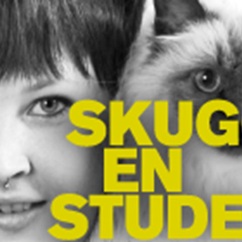 200x110_skugga_banner.png 200x110_skugga_banner.png