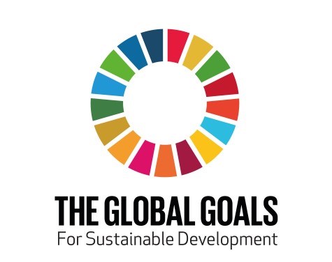 Global goals logo