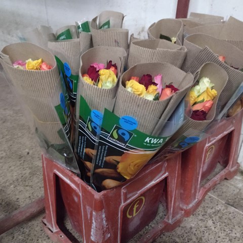 Rose packages in a plastic container