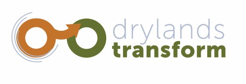 Logotype for the project Drylands Transform