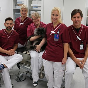 Medarbetare på hjärtmottagningen 2024