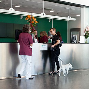 receptionen på smådjurskliniken