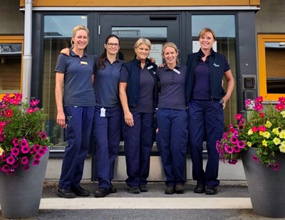 Medarbetare på hästkliniken