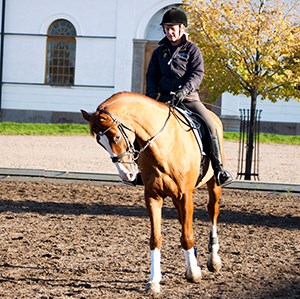 Hippologistudent på häst. foto