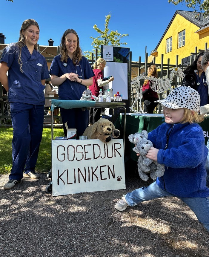 En liten flicka väntar med sitt gosedjur vid gosedjurkliniken
