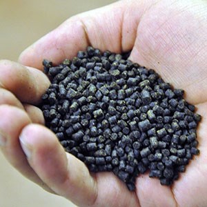 Fish feed in the palm of a hand. Photo.