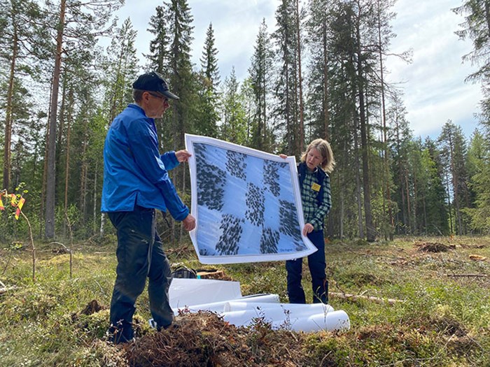 Två personer håller upp en skylt i skogen som visar en flygbild av schackrutehuggning. Foto. 