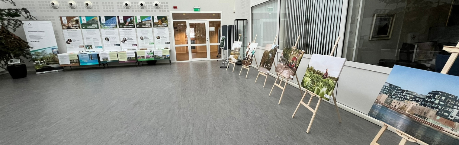 Rad av utställningsmaterial.