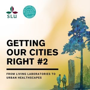 Text: Getting our cities right.