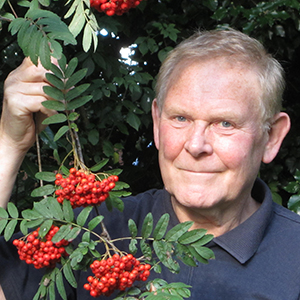 Chris Baines close to Rowan berries.