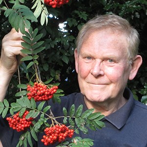Chris Baines close to Rowan berries.