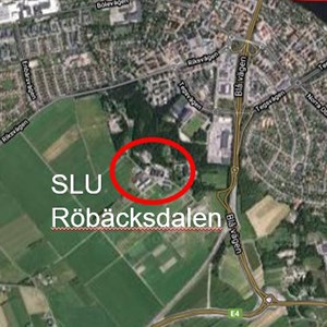 En satellitbild som visar Rörbäcksdalens position utanför Umeå.