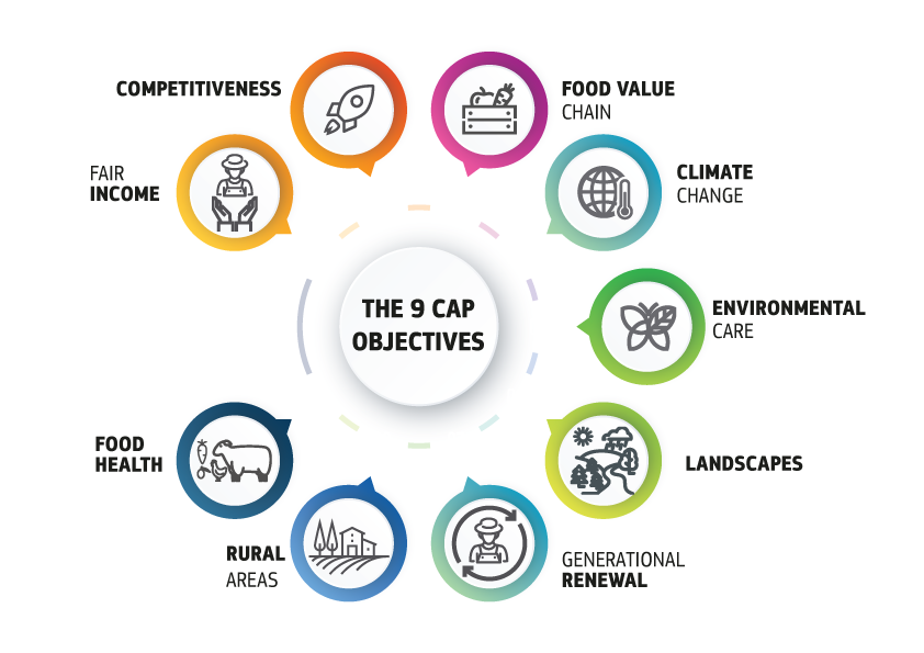 EU:s 9 CAP-delar