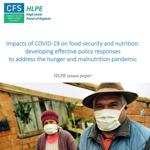 Omslag för FN-rapportenImpacts of COVID-19 on food