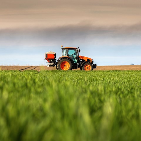 En traktor sprider konstgödsel på ett grönt fält. Foto.