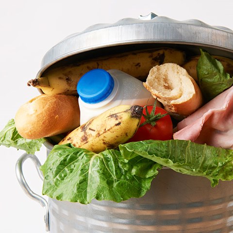 A food waste bin. Photo.