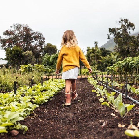 En flicka i gummistövlar går över ett odlingsfält. Foto.