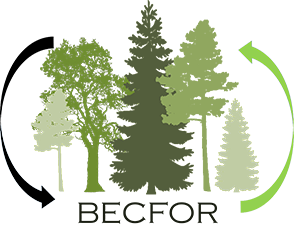 BECFOR logo