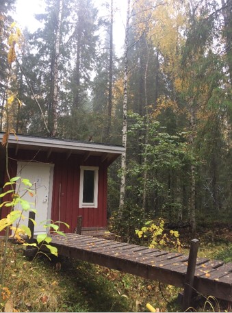 Cabin Svartberget