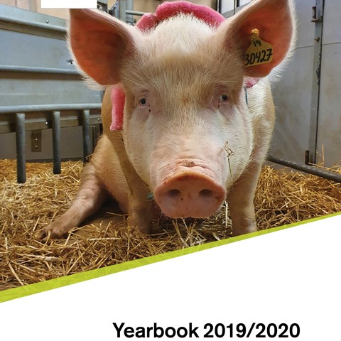Framsida av årsbok 2019/2020 institutionen för husdjursgenetik