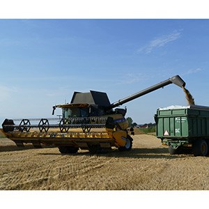 Tröska som tömmer av spannmål