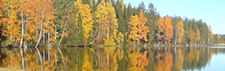 Sjon_300x300_fotograf_Ann_Dolling.jpg Sjon_300x300_fotograf_Ann_Dolling.jpg