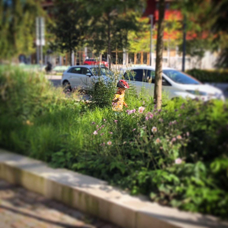 child running among flower planted in city