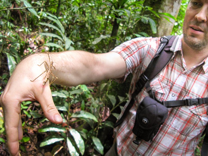 Petter Axelsson i regnskog med en stor insekt på sin hand. Foto.