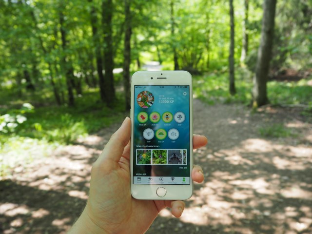A hand is holding a smart phone with the app Biologg open, standing in a forest. 