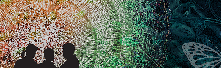 Silhuetter av tre personer. I bakgrunden ett collage av mönster. Illustration.