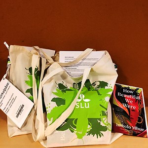 Two bags and a book. Photo