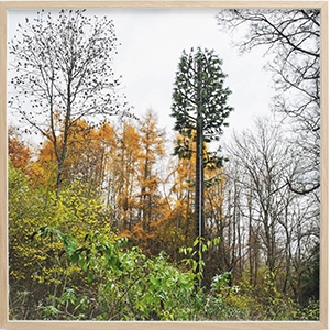 Artwork by Helga Steppan