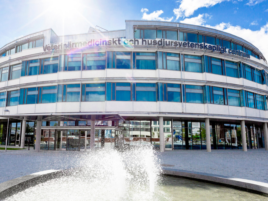 VHC av Mikael Wallerstedt