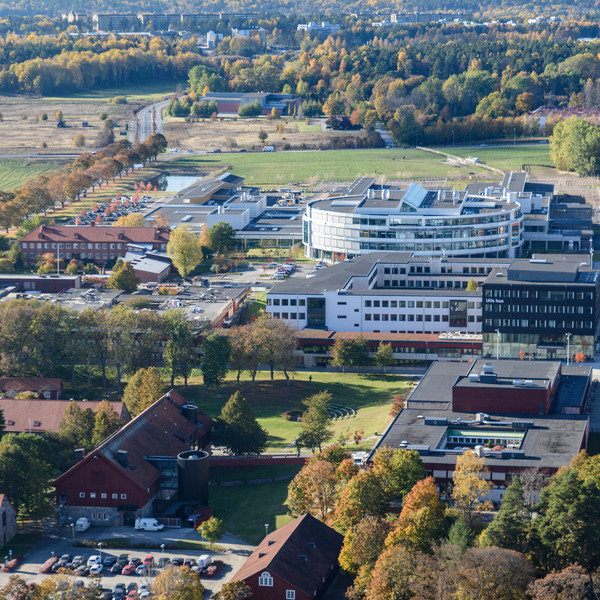 Vy över campus Ultuna