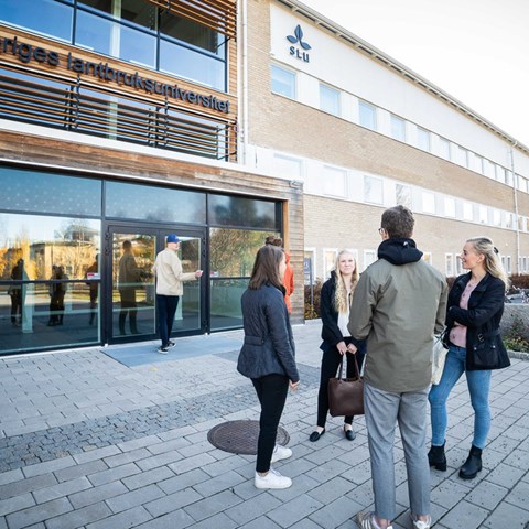 Studenter på SLU campus Umeå