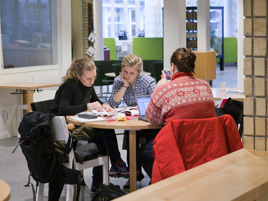 Studenter som sitter vid ett runt bord och arbetar.