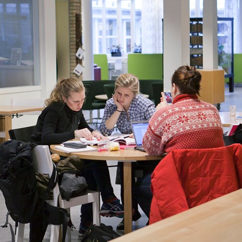 Students sitting at a round table and working.