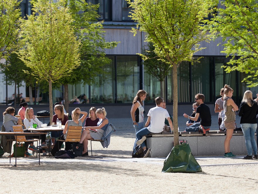 Studenter på campus
