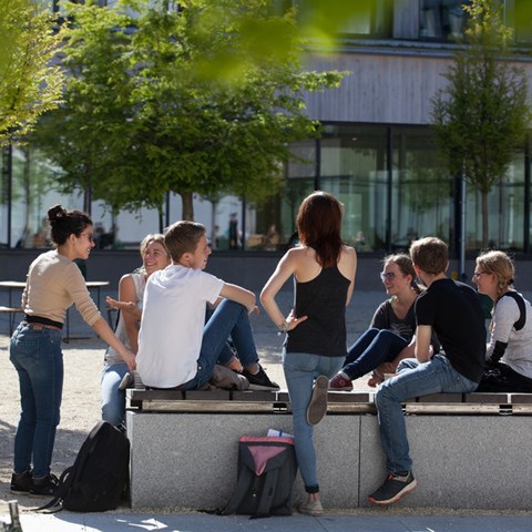 Students outside in the sun