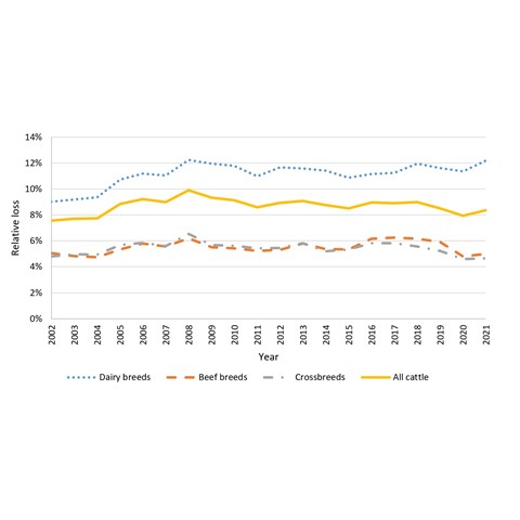 A figure showing the different relative loss on different breeds of cattle in Sweden over time