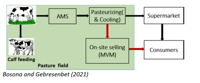 Figure shows the process for milk from the pasture to the consumers: Cows feed their calf and are automatically milked. The milk is pasteurized . Milk can go to the supermarket or be sold on-site.  